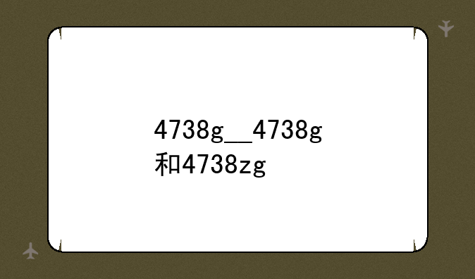 4738g__4738g和4738zg