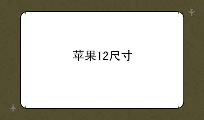 苹果12尺寸